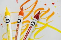 Aqua color brush Basic Set 1  - 12 markers 200490